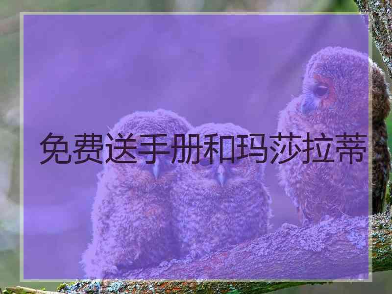 免费送手册和玛莎拉蒂