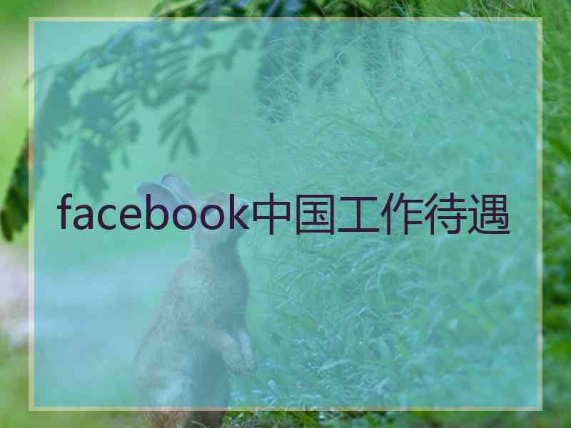 facebook中国工作待遇