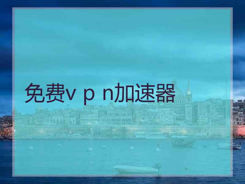 免费v p n加速器