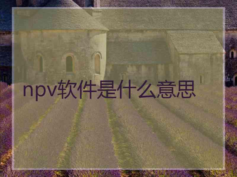 npv软件是什么意思