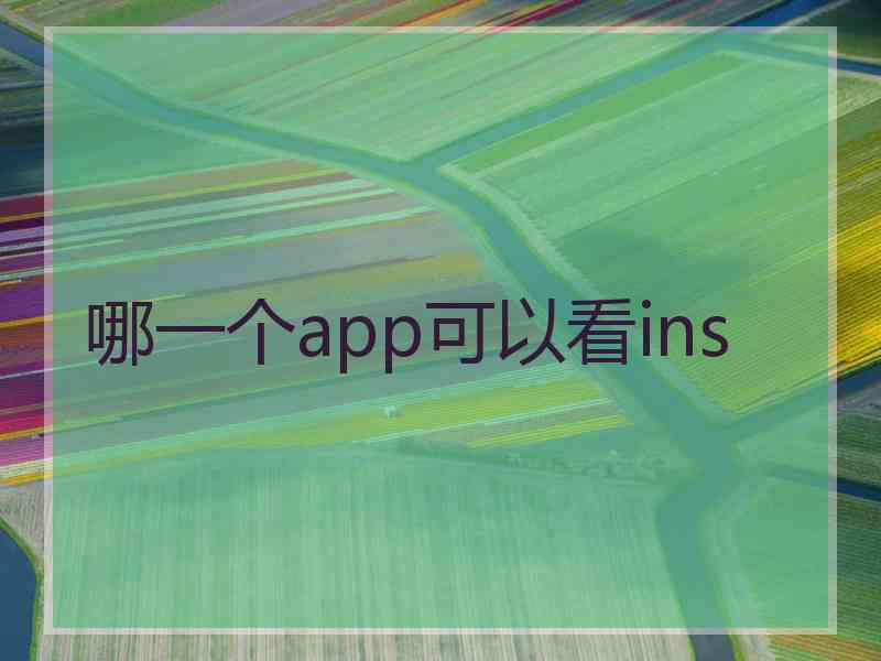 哪一个app可以看ins