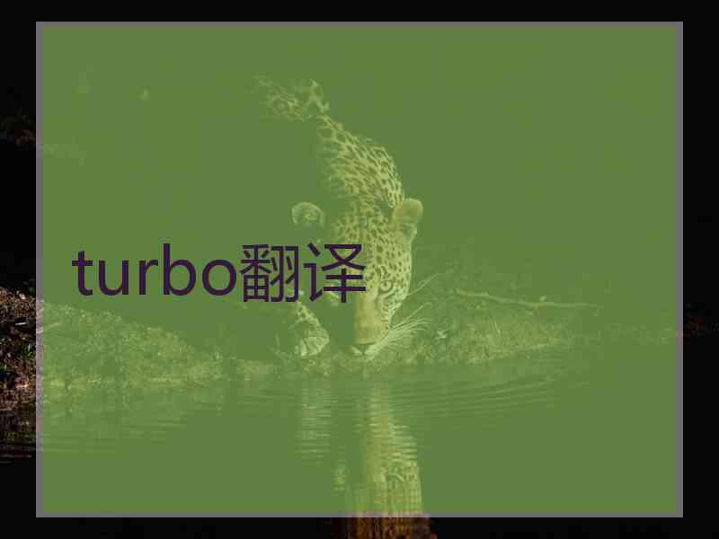 turbo翻译