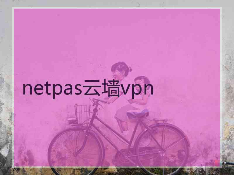 netpas云墙vpn