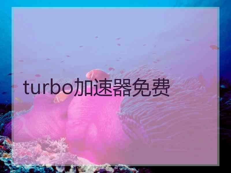 turbo加速器免费