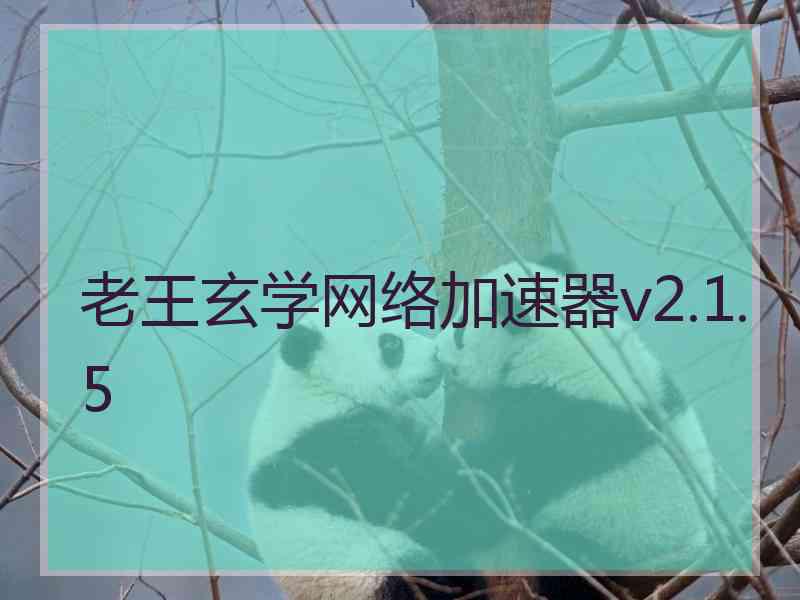 老王玄学网络加速器v2.1.5