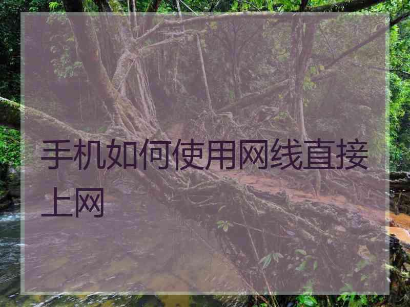 手机如何使用网线直接上网