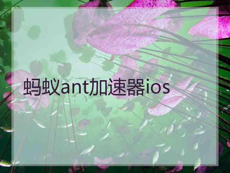 蚂蚁ant加速器ios