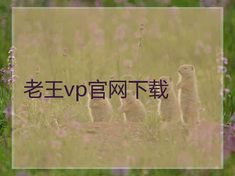 老王vp官网下载