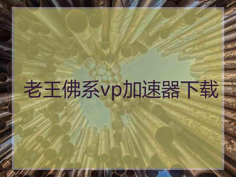 老王佛系vp加速器下载