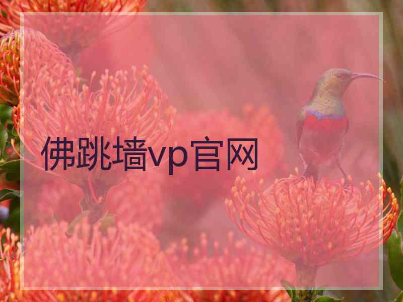 佛跳墙vp官网