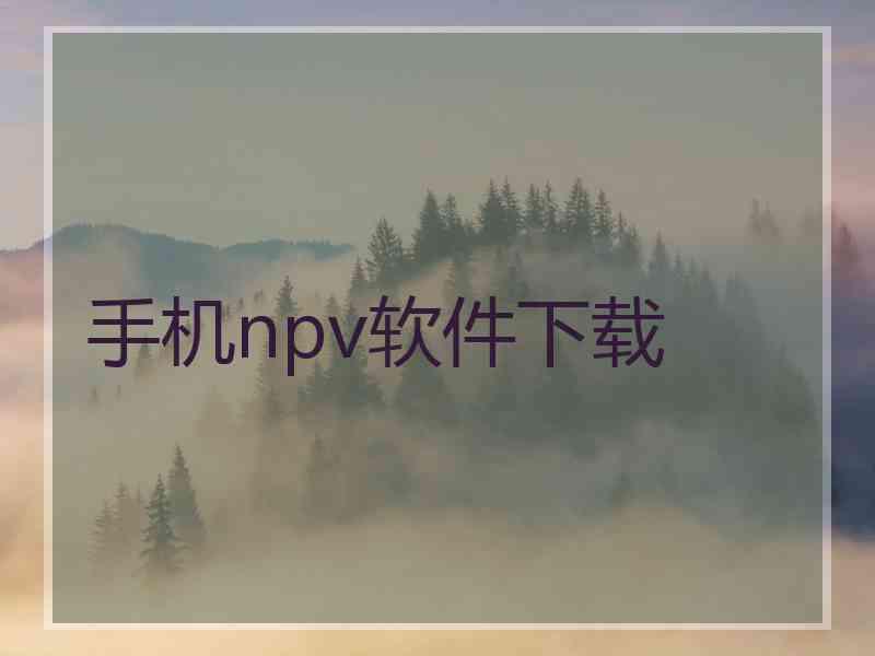 手机npv软件下载