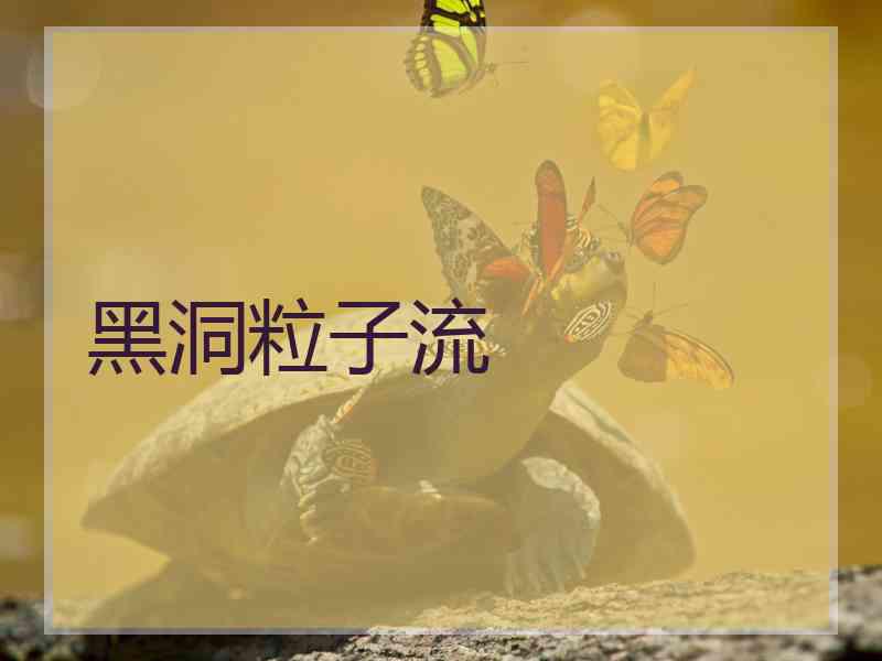 黑洞粒子流