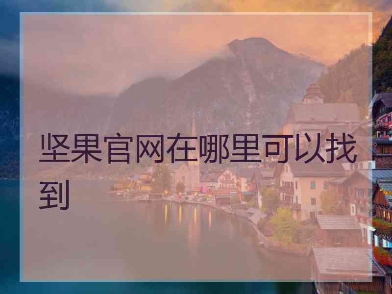 坚果官网在哪里可以找到