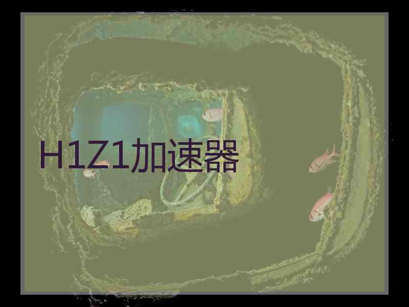 H1Z1加速器