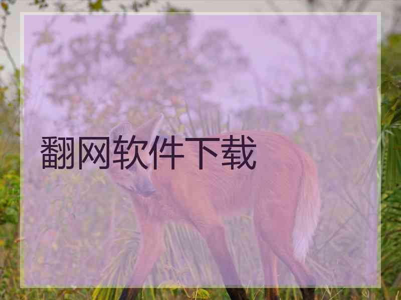 翻网软件下载