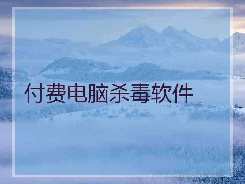 付费电脑杀毒软件