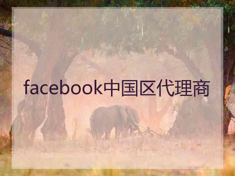 facebook中国区代理商