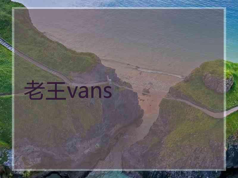 老王vans