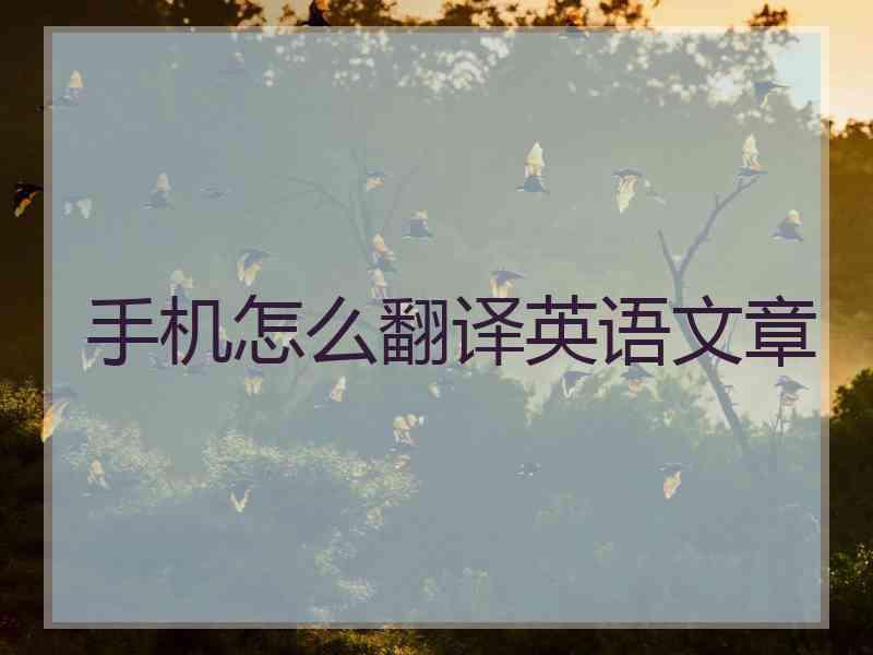 手机怎么翻译英语文章